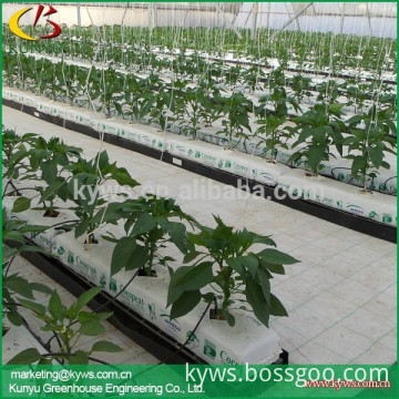 Hot sale agriculture greenhouse, film greenhouse, plastic for agricultural greenhouse